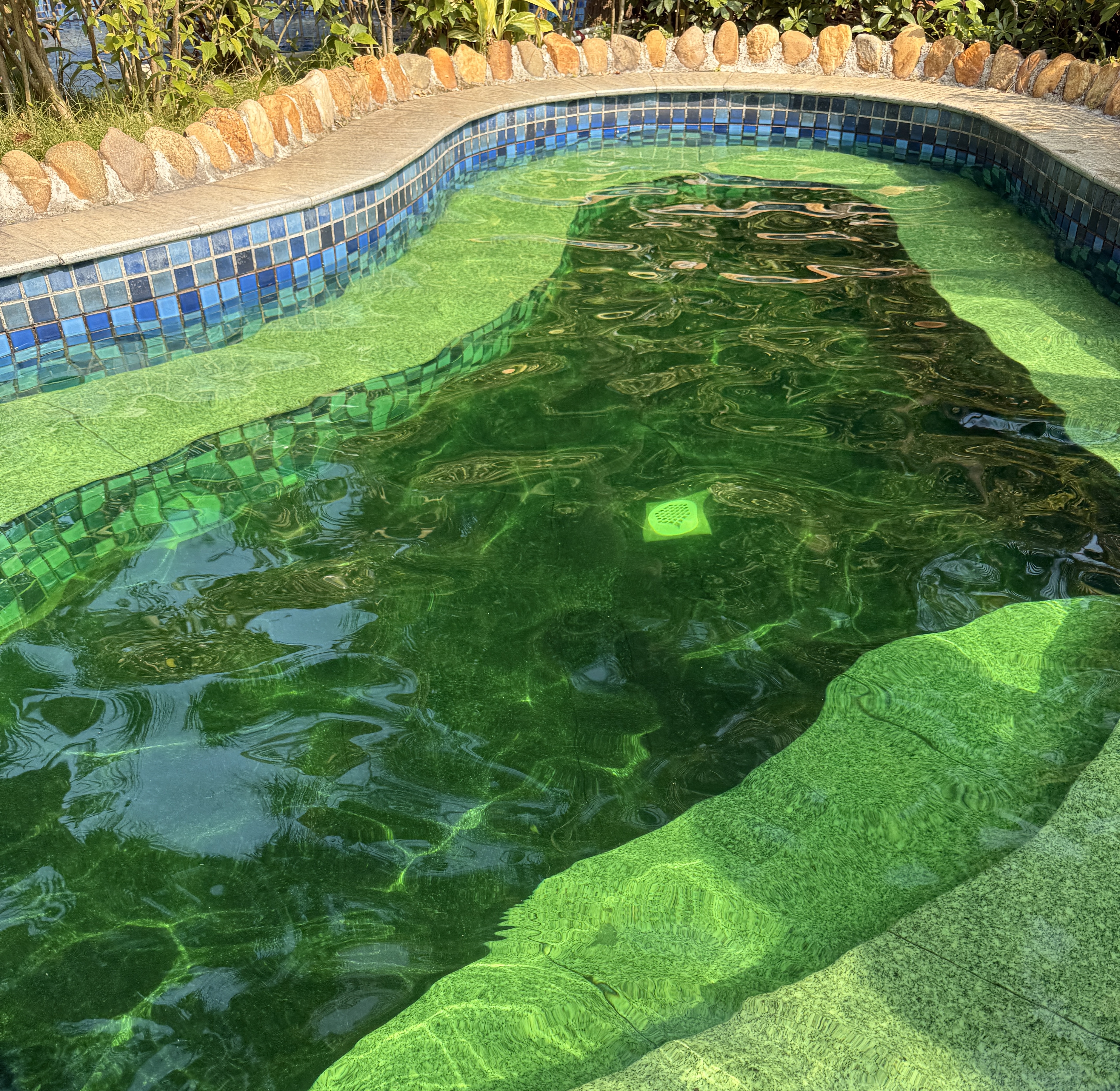 84cfaf99c33997bf19d40f45e8bf20ae